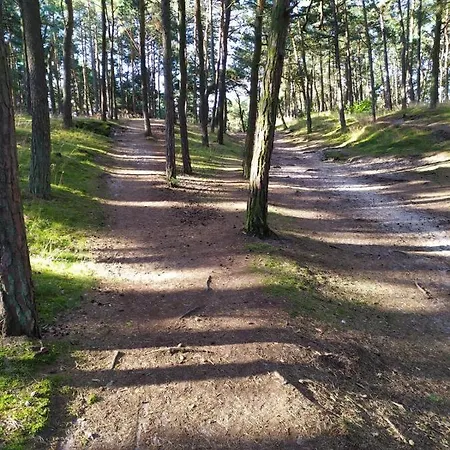 Gdańska Wyspa Pensjonat *