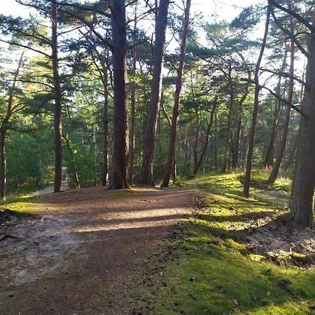 Gdanska Wyspa Gasthof Danzig