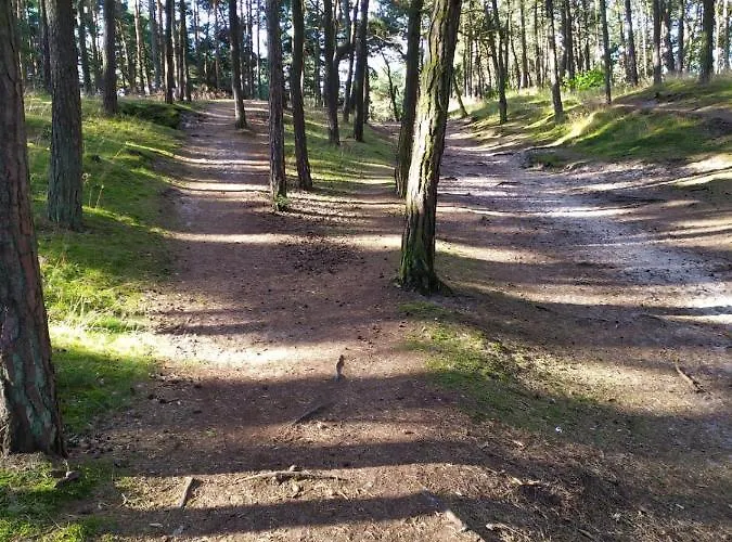 Gdanska Wyspa بيت ضيافة 3*